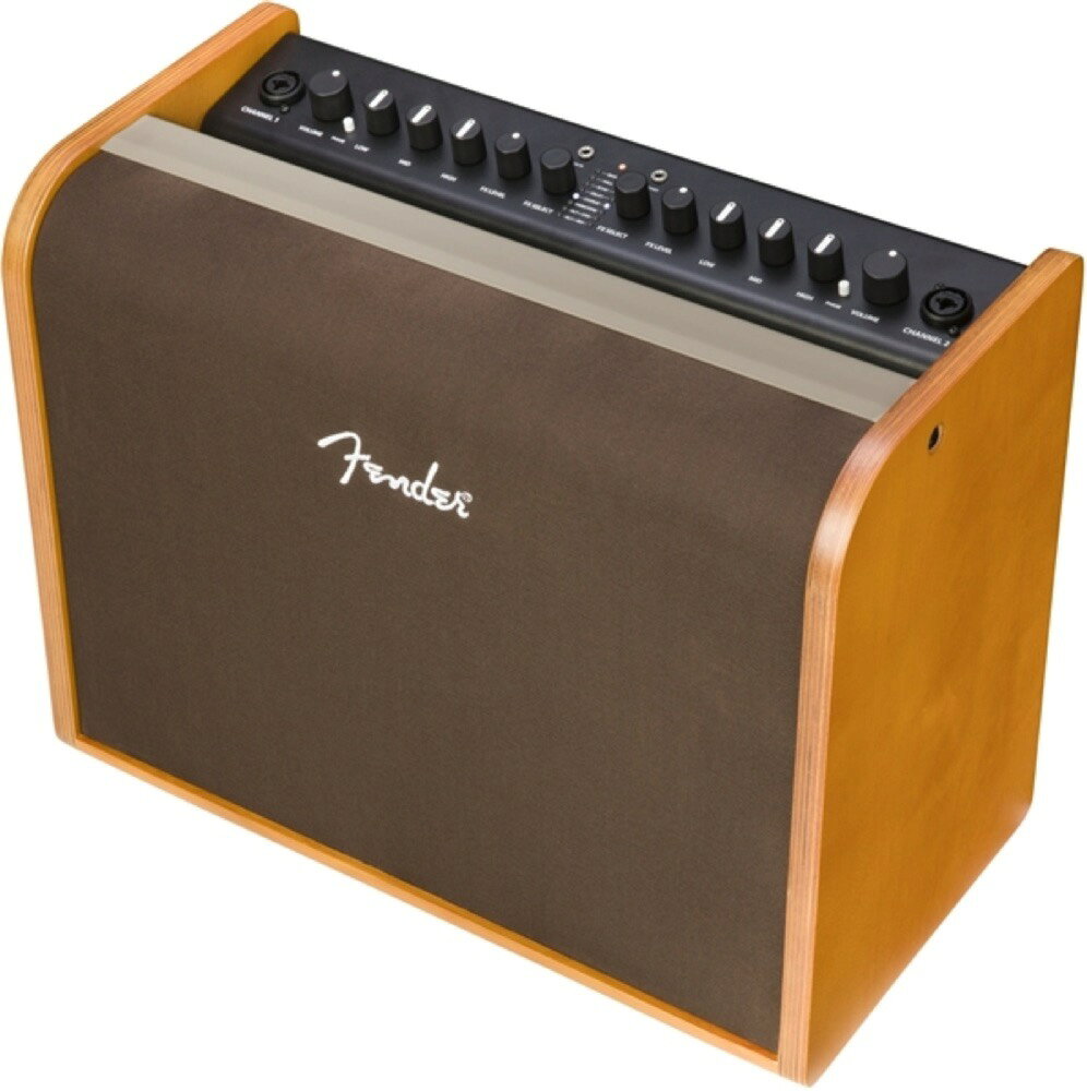 (未展示在庫) [スタジオ品質エフェクト搭載/100Wアコースティック楽器用アンプ]  Fender / Acoustic 100 フェンダー 100W 10ワット コンボアンプ エレアコ(YRK)