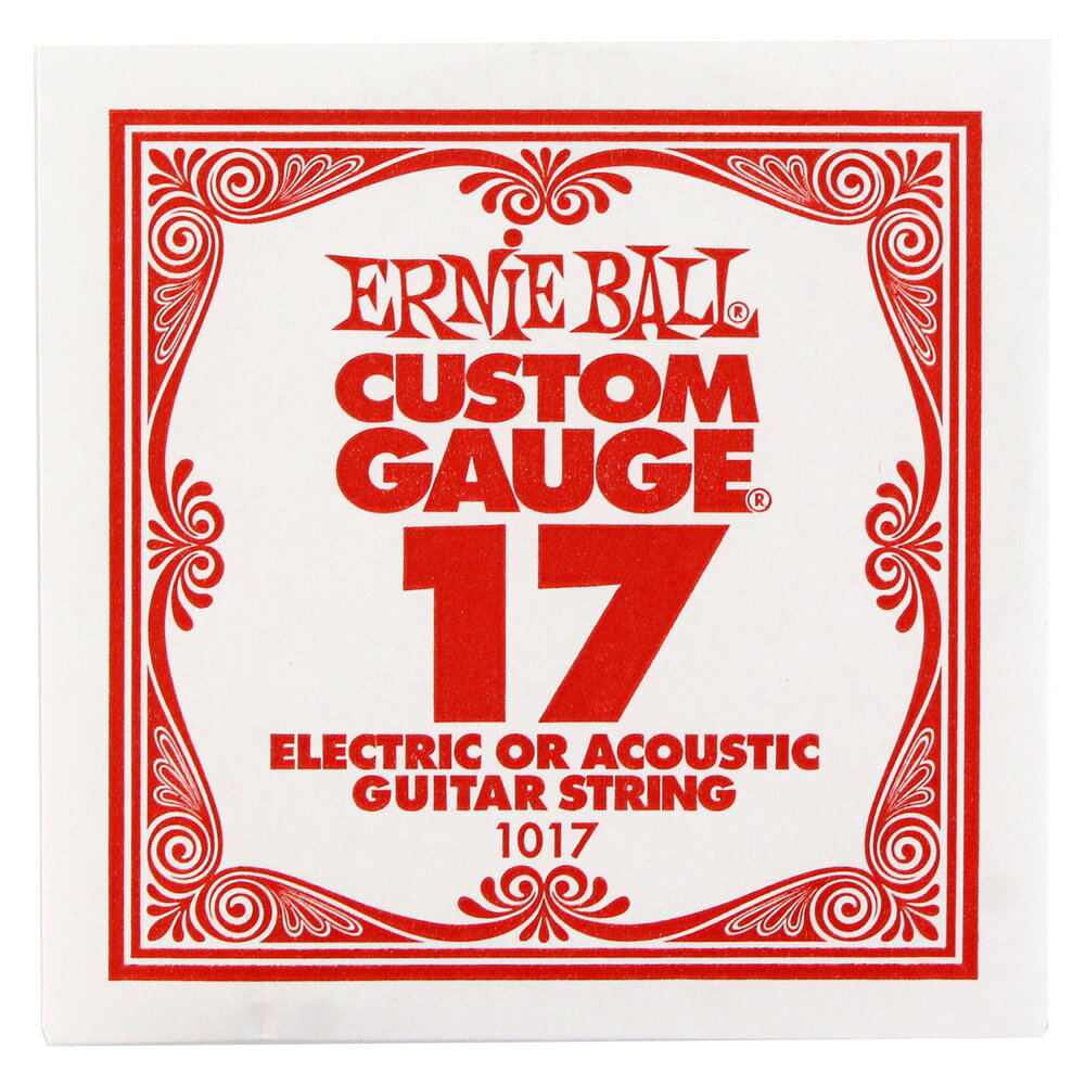 ERNiE BALL/ バラ弦 Electric or Acoustic Steel Plain 1017 017