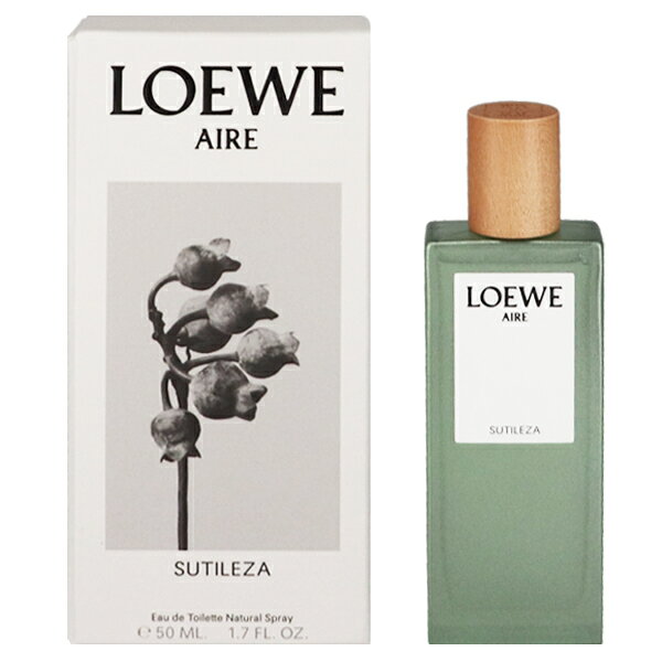ロエベ アイレ スティレサ aire utileza