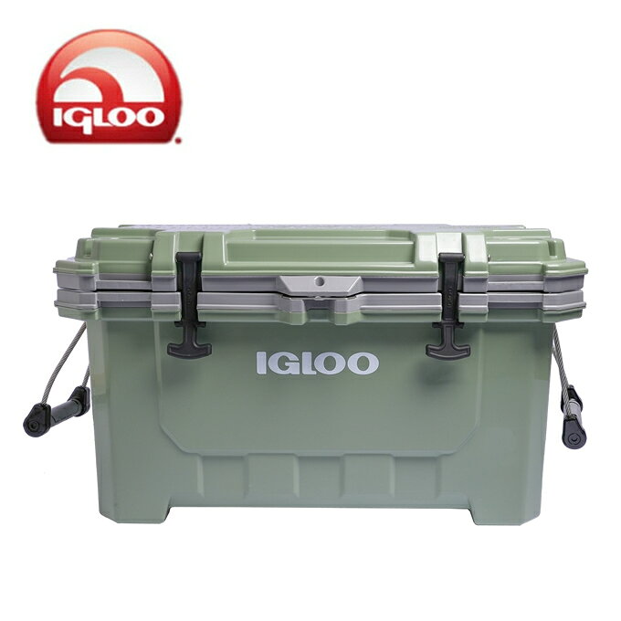 楽天市場】イグルー igloo maxcold island breeze 62qt クーラー