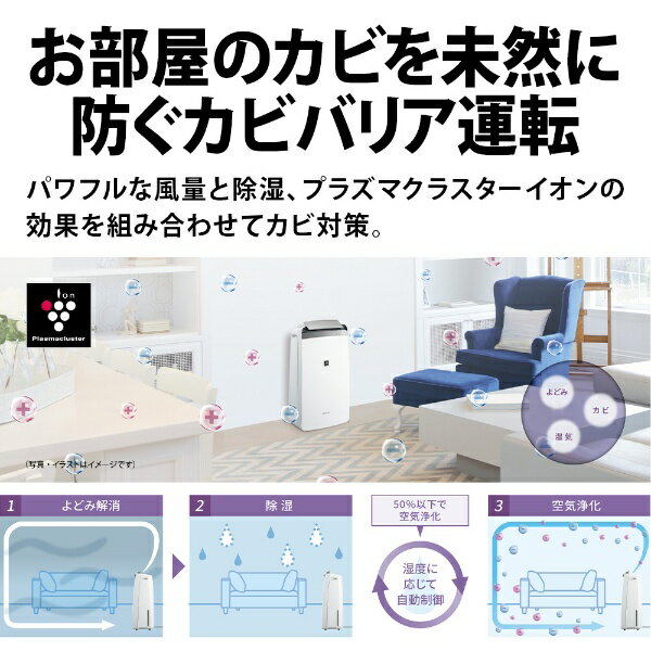楽天市場】シャープ SHARP 衣類乾燥除湿機 CV-N180-W | 価格比較