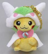 楽天市場】ポケモン ポケモンセンターオリジナル ぬいぐるみ メガ