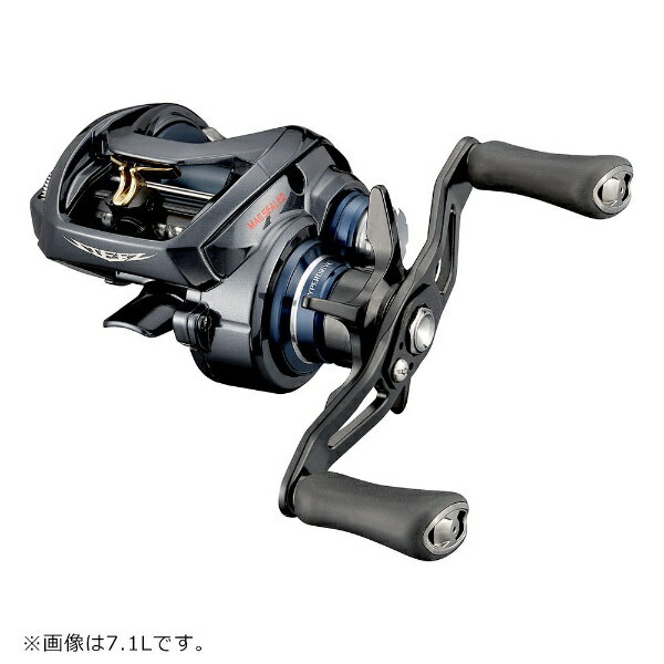 楽天市場】グローブライド ダイワ Daiwa STEEZ AII TW 1000HL
