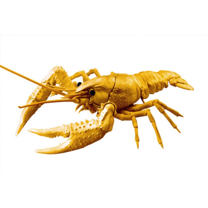 自由研究シリーズ　いきもの編 025 クワガタムシvs　カブトムシ　対決セット 楽天市場】自由研究シリーズ No.25 EX-1 いきもの編