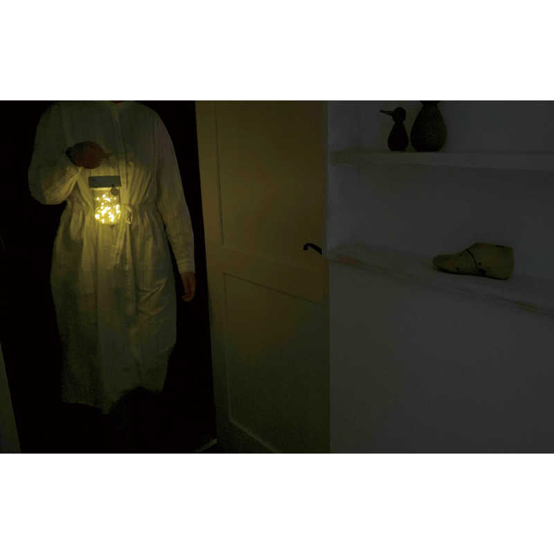 センサーエトワル 人感センサーライト White(1個)