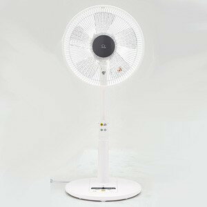 楽天市場】ドウシシャ 卓上式換気扇 エアークリーンファン DTE-1501 RD