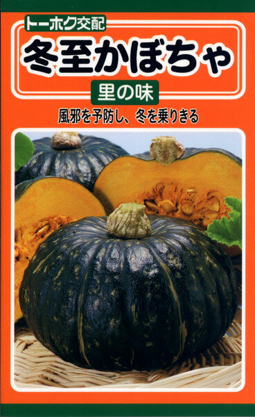 楽天市場】トーホク トーホク F1冬至かぼちゃ里の味 | 価格比較 - 商品