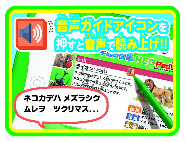 楽天市場】タカラトミー 小学館の図鑑NEOPad DX | 価格比較