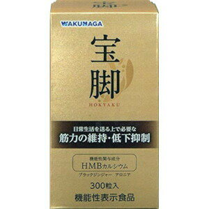 楽天市場】湧永製薬 湧永 特肝錠 300粒 | 価格比較 - 商品価格ナビ