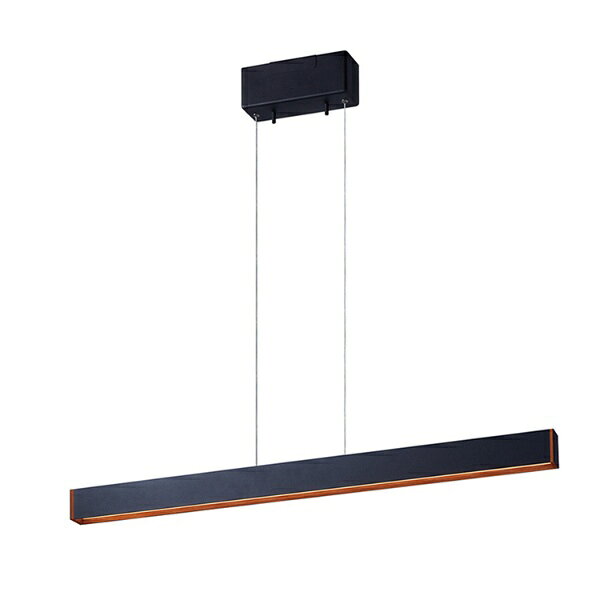 楽天市場】コイズミ照明 KOIZUMI LEDペンダントライト AP 49029 L