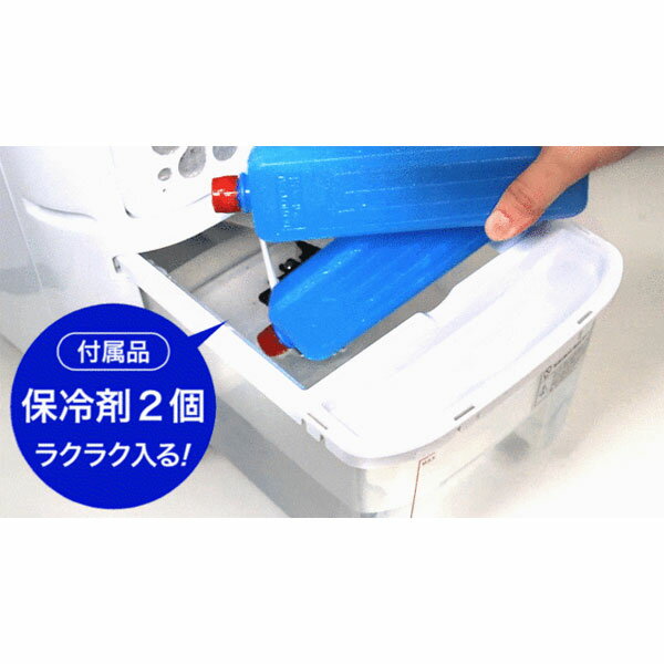 ソウイジャパン ボックスタイプ 冷風扇 SY-076N ブルー