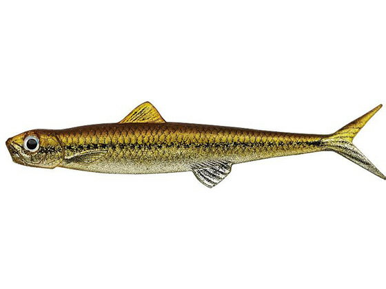 エバーグリーン EVERGREEN ラストエース F 95mm #117 モツゴ