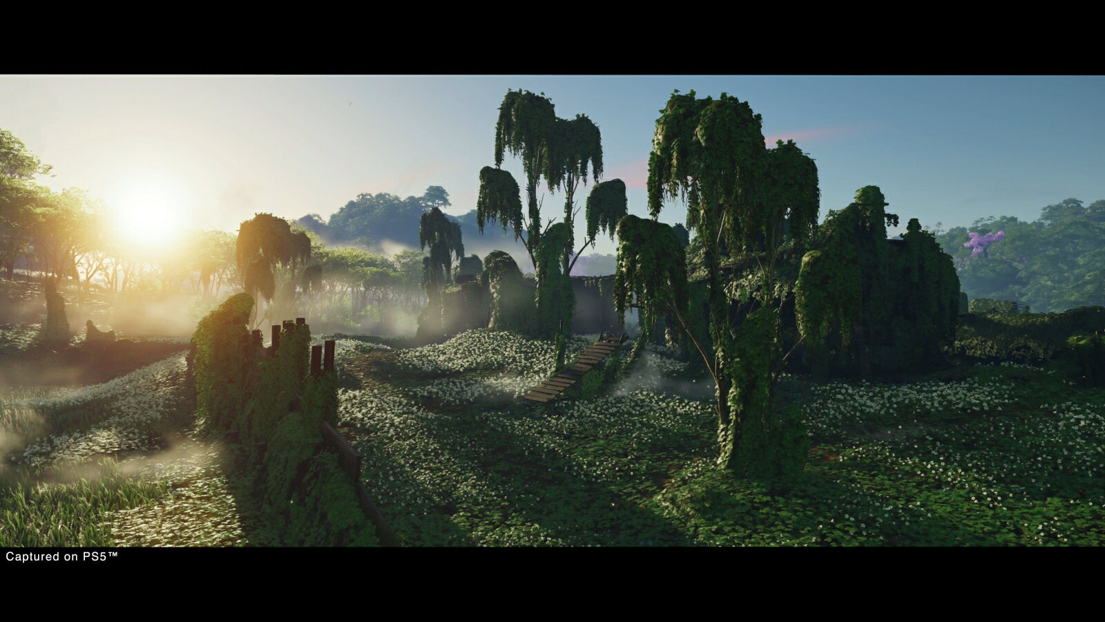 Ghost of Tsushima Director's Cut/PS4/PCJS66083/【CEROレーティング「Z」（18歳以上のみ対象）】