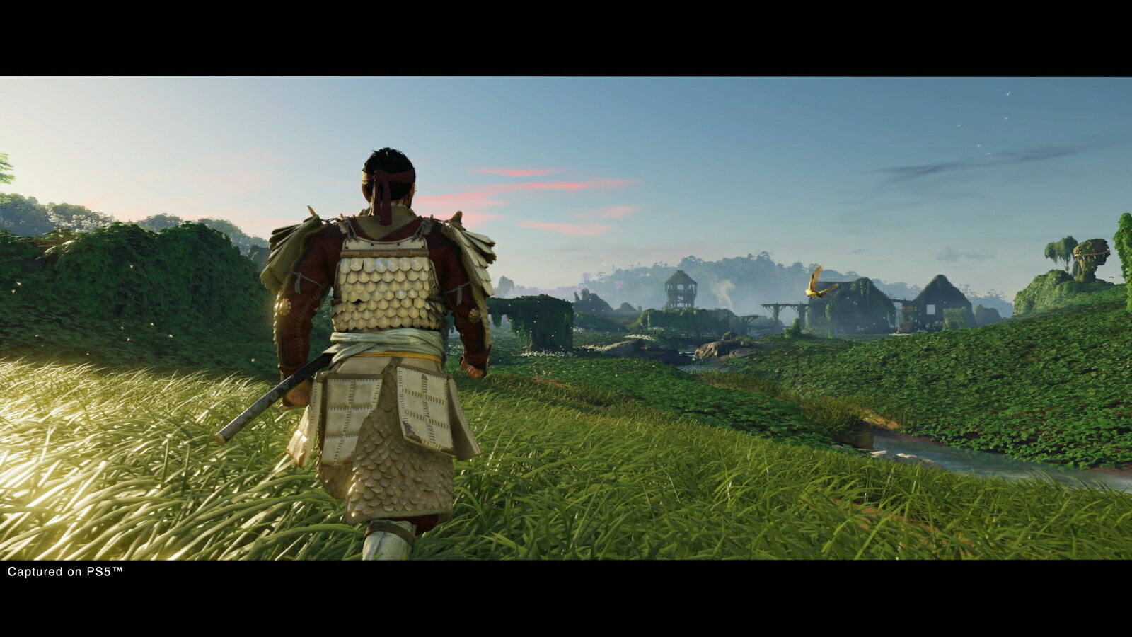 Ghost of Tsushima Director's Cut/PS4/PCJS66083/【CEROレーティング「Z」（18歳以上のみ対象）】