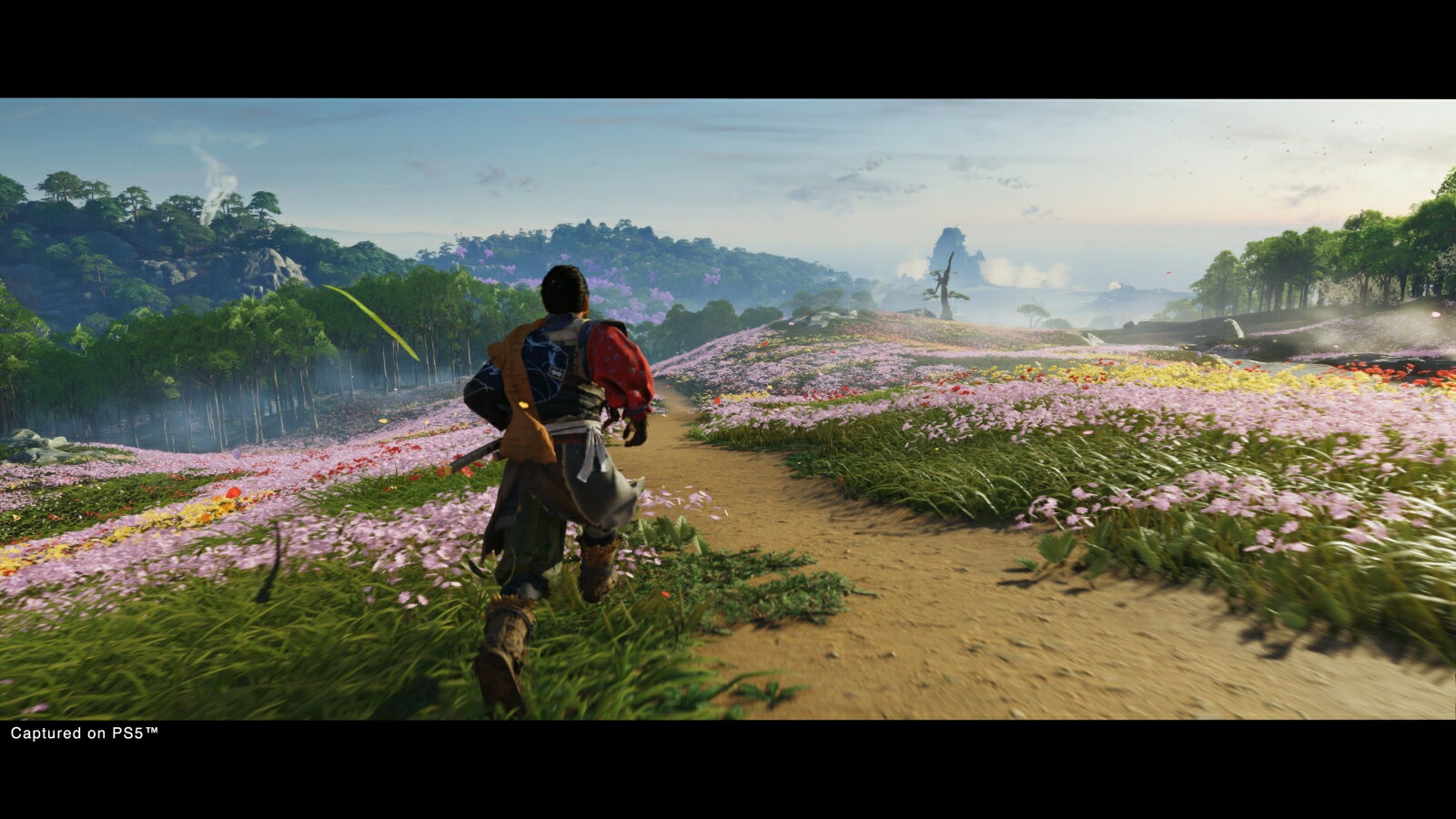 Ghost of Tsushima Director's Cut/PS4/PCJS66083/【CEROレーティング「Z」（18歳以上のみ対象）】