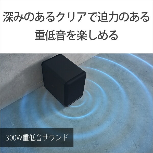 SONY サブウーファー SA-SW5