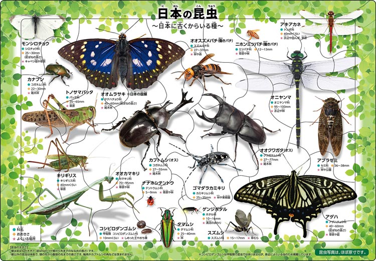 楽天市場】エポック社 1000P カブトムシ クワガタ図鑑 | 価格比較