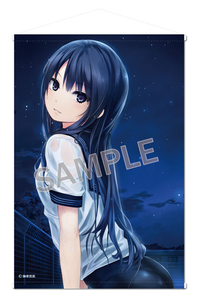 楽天市場】ブレンドリーム 珈琲貴族 B2タペストリー SECRET NIGHT-青山