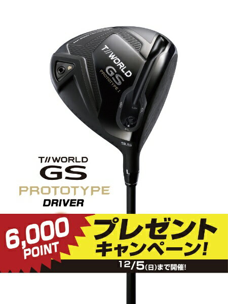 楽天市場】本間ゴルフ HONMA GS PROTOTYPE II 9.5 S VIZARDFZ5D 45.25