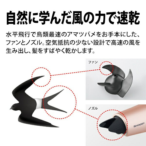 SHARP プラズマクラスタードライヤー beaute A キャメルピンク IB-NP9-P