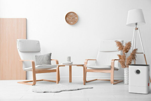 BONECO 気化式加湿器 ホワイト W200