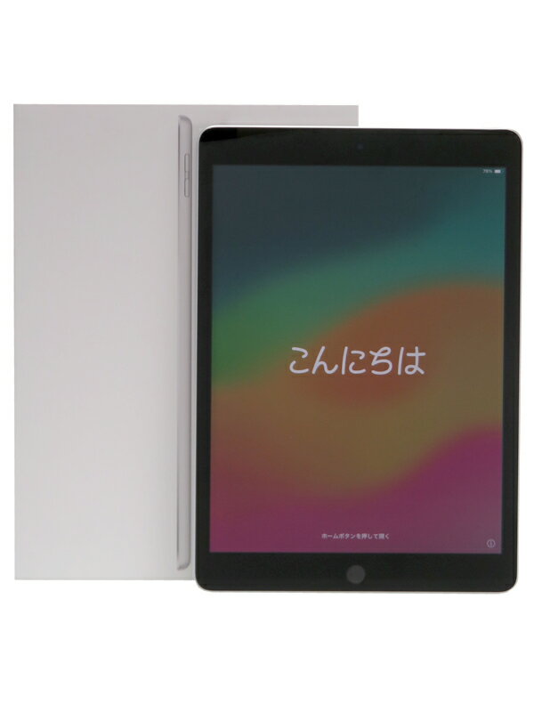 APPLE iPad IPAD WI-FI 256GB 2021 SV