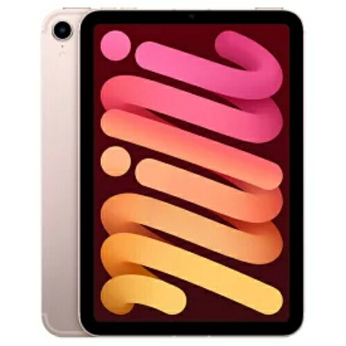 APPLE iPad mini IPAD MINI NA WI-FI+CELL 256GB