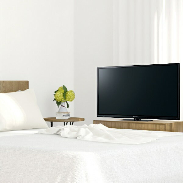 Panasonic 32V型ハイビジョン液晶TV VIERA J300 TH-32J300