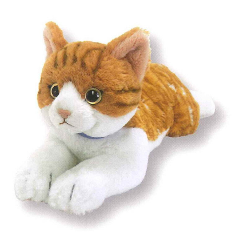 楽天市場】サンレモン ひざねこ ぬいぐるみ（M） ラグドール