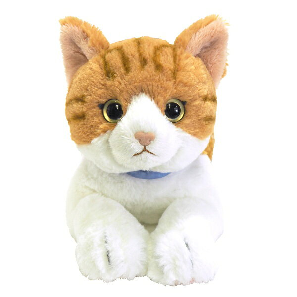 楽天市場】サンレモン ひざねこ ぬいぐるみ（M） ペルシャ WH