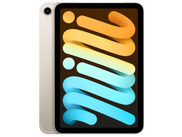 APPLE iPad mini IPAD MINI NA WI-FI+CELL 256GB