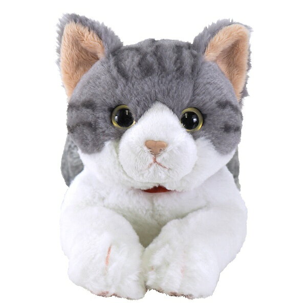 楽天市場】サンレモン ひざねこ ぬいぐるみ（M） ペルシャ WH