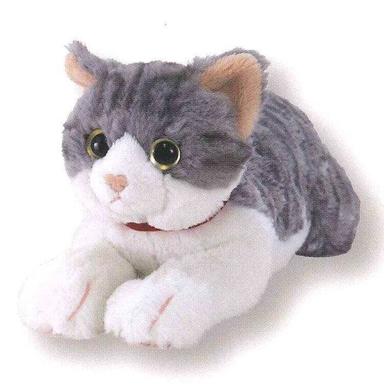 楽天市場】サンレモン ひざねこ ぬいぐるみ（M） ペルシャ WH