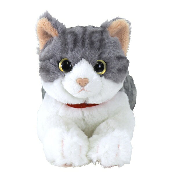 楽天市場】サンレモン ひざねこ ぬいぐるみ（M） ペルシャ WH
