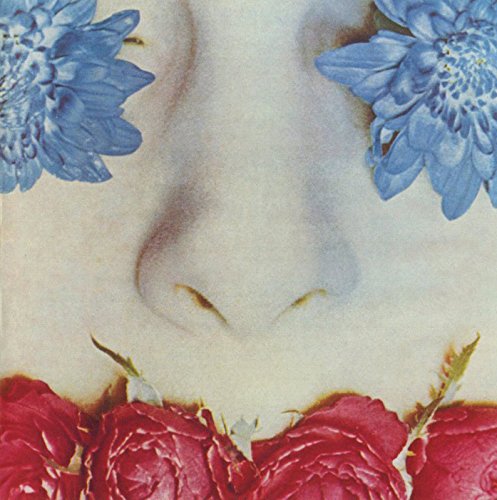 楽天市場】ソ イングク / Mini Album: Perfect Fit 輸入盤 | 価格比較