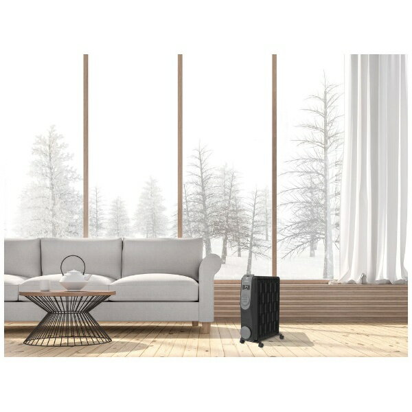 エレクトロラックス COMFORTHEAT 700 ブラックグレー EO12D104C0