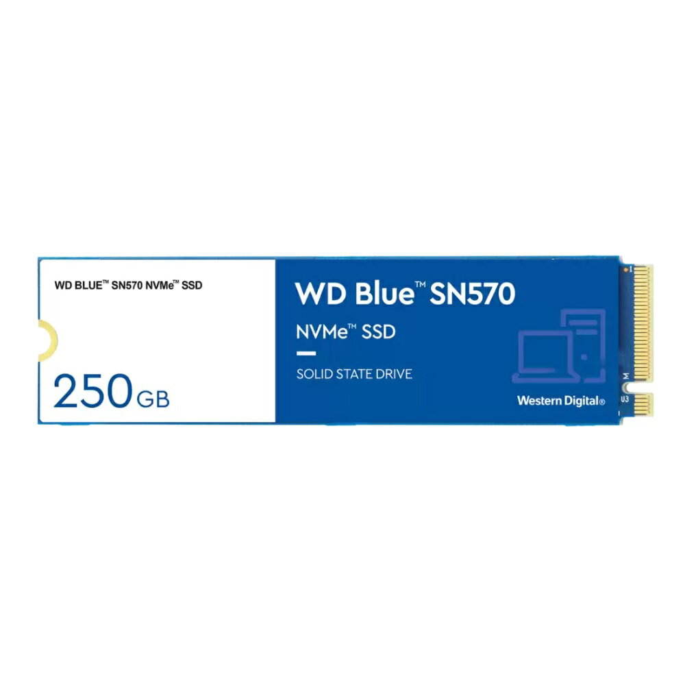 WD M.2 NVMe 内蔵SSD 250GB WDS250G3B0C