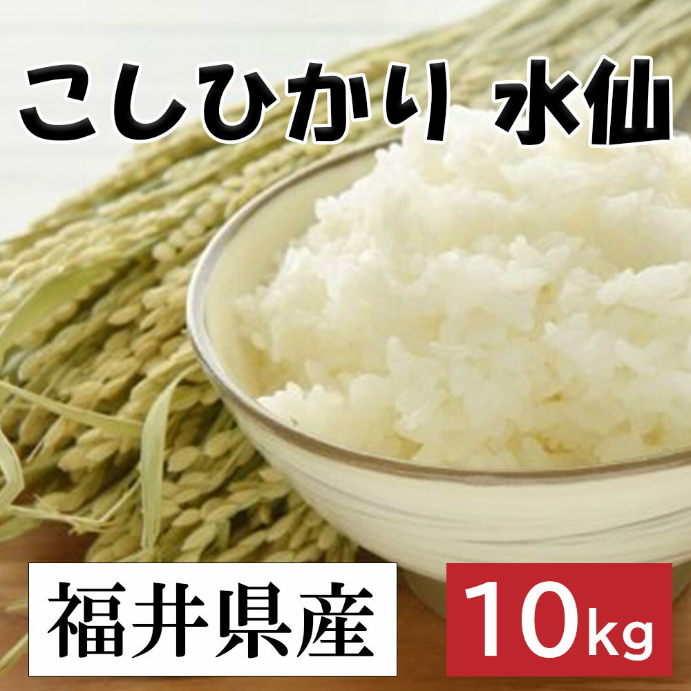 コシヒカリ 5kg 福井県産 精米 Amazon.co.jp: 【精米】福井県産コシヒカリ (5kg) : 食品・飲料