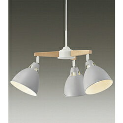 楽天市場】大光電機 DAIKO DXL-81426 | 価格比較 - 商品価格ナビ