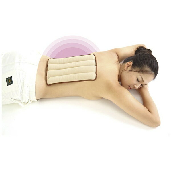 富士商｜FUJISHO ホット＆スチームパッド Lサイズ SALOFIX F20892