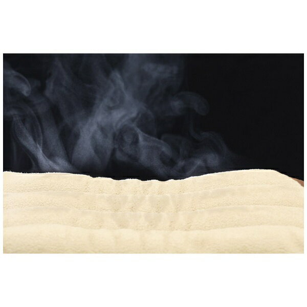 富士商｜FUJISHO ホット＆スチームパッド Lサイズ SALOFIX F20892