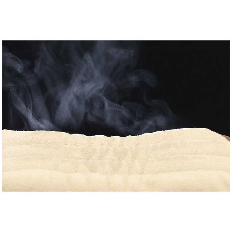 富士商｜FUJISHO ホット＆スチームパッド フェイス SALOFIX F20915