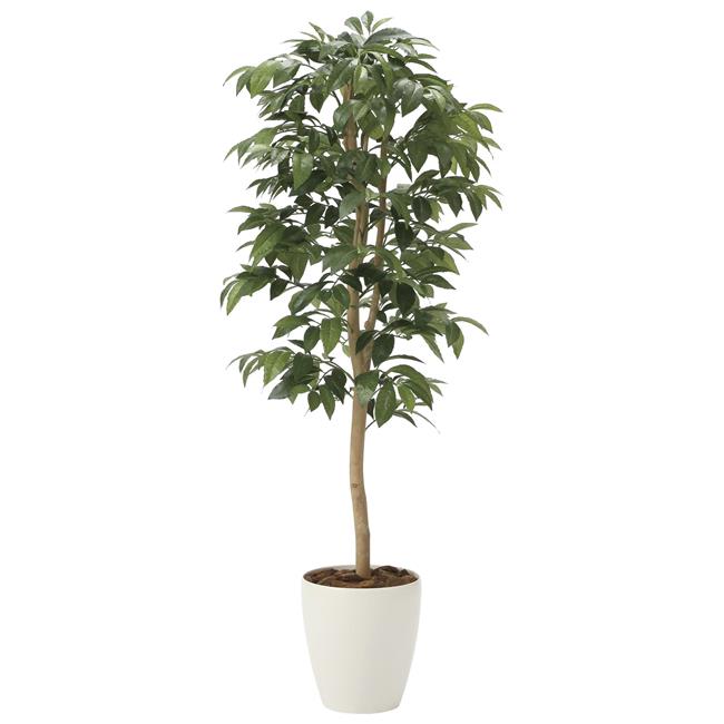 人工観葉植物 光の楽園/光触媒 アルデシア 万両 1.3/2033A200 21 造花 葉物 フェイクグリーン 人工樹木 おしゃれ インテリア 店舗 オフィス 装飾 ディスプレイ