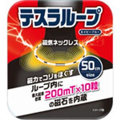 楽天市場】電気磁気治療器 バイオイーザー | 価格比較 - 商品価格ナビ