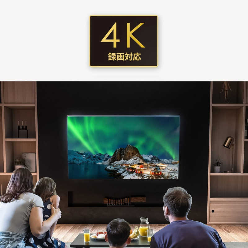 I・O DATA テレビ録画用HDD トロッカ 4TB HDPL-UTA4K