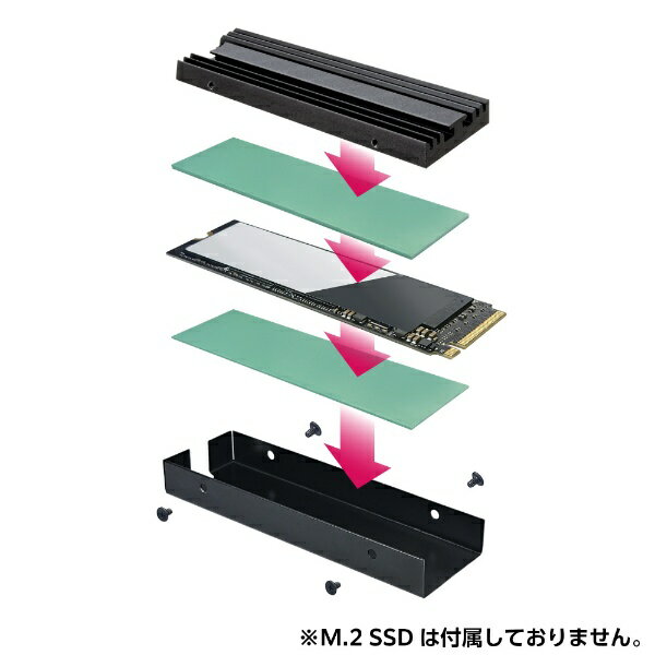 CENTURY センチュリー M.2 SSD専用ヒートシンク Aluminum Heat sink for SSD ブラック CAHPS-M2