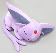 【新品】 ポケモンセンター ぬいぐるみ すやすやブラッキー 楽天市場】ポケモン ポケモンセンターオリジナル ぬいぐるみ