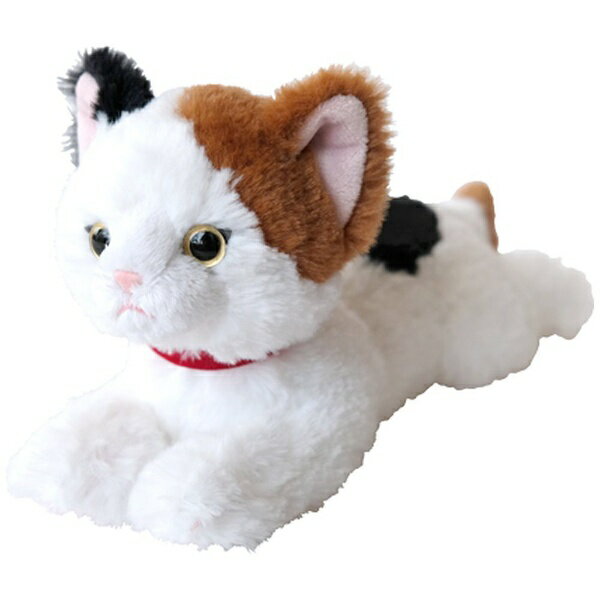 サンレモン ひざねこ ラグドール　M ねこぐるみ ぬいぐるみ　猫　ネコ 楽天市場】サンレモン ひざねこ ラグドール Mサイズ 【送料無料