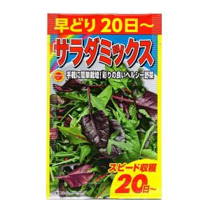 楽天市場】RHLF アタリヤ農園 早どり サラダミックス M | 価格比較