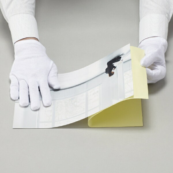 フジカラー 額装用バックシート 半切